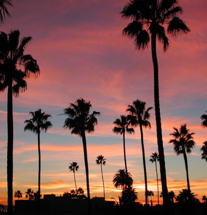 Long Beach: A California Dreamin’ Paradise