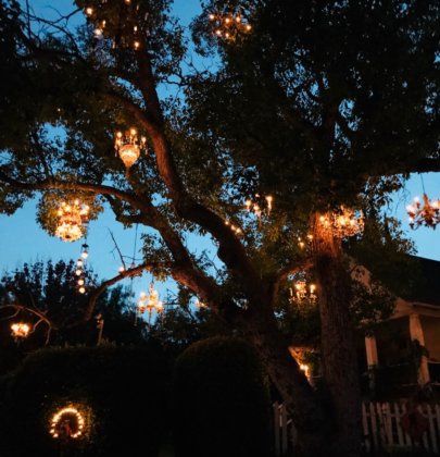 The Chandelier Tree