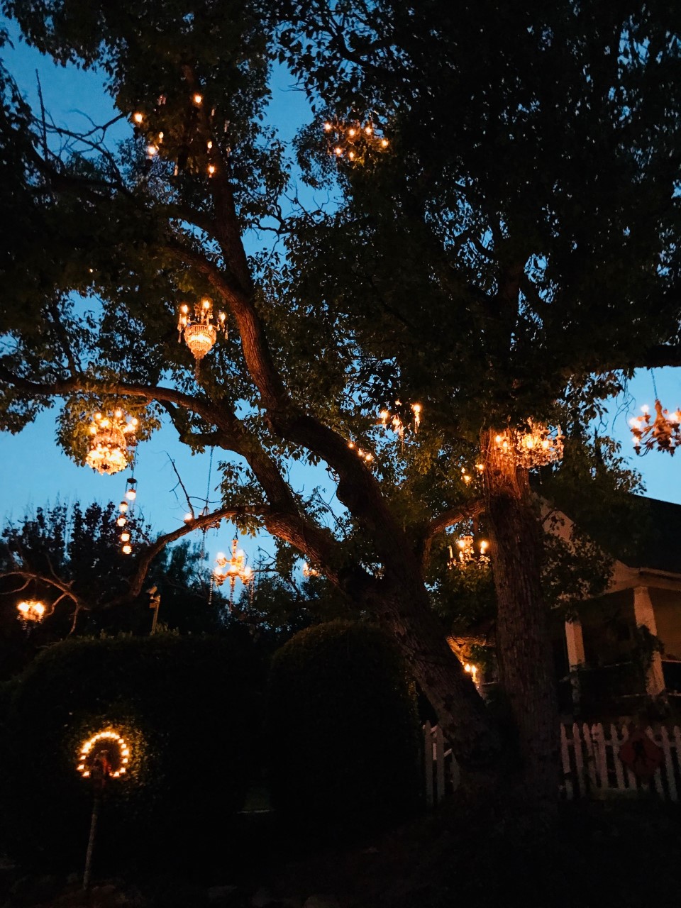 The Chandelier Tree - Mariana In LA