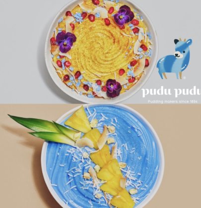 Pudu Pudu: LA’s Pudding Dessert Experience