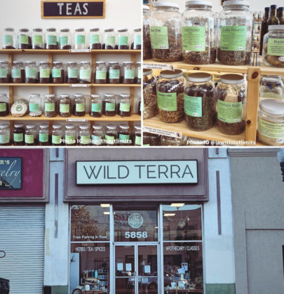 Where to Buy Tea in LA: Wild Terra