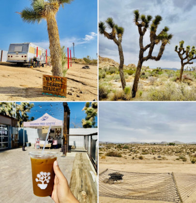 The Joshua Tree Diaries — What to Do + Restaurants