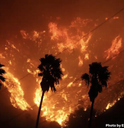 Los Angeles Wildfires – Resources & How to Help