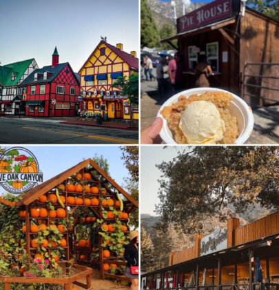 The Best Fall & Winter Day Trips from LA